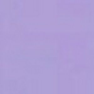 Meet your Posher, Lacey